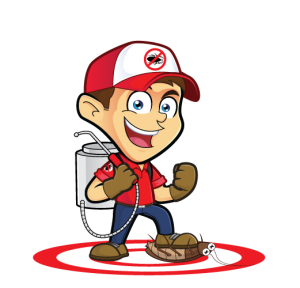 Bed Bug Removal East New York NY
