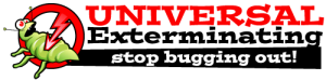 Bed Bug Removal East New York NY